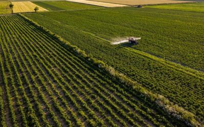 Waarom is minder vlees eten duurzaam en nodig?
