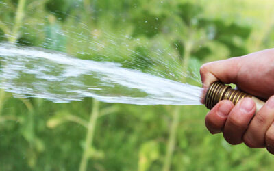 Nieuwe gewoontes creëren voor het klimaat