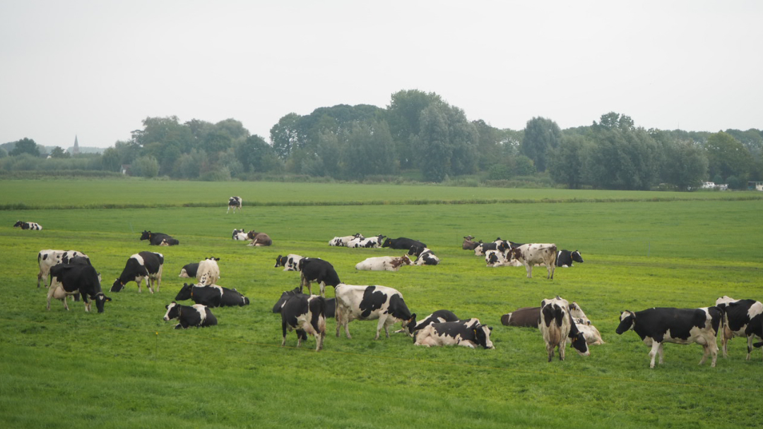 Sector landbouw en uitstoot van broeikasgassen De sector landbouw zorgt voor uitstoot van broeikasgassen door onze behoefte aan veel dierlijk voedsel en intensieve landbouw