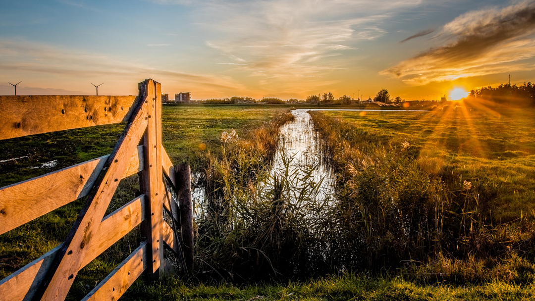Platteland De sector landgebruik en CO2-uitstoot