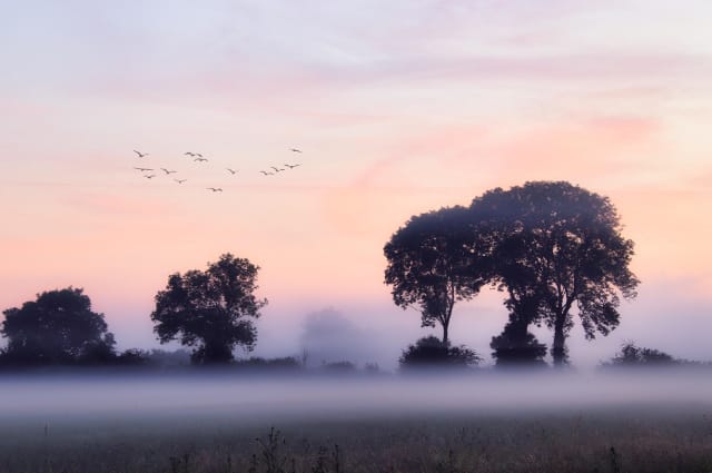 Waarden inzetten voor duurzame keuzes